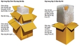 Đóng kiện Carton
