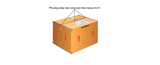 Đóng kiện Carton